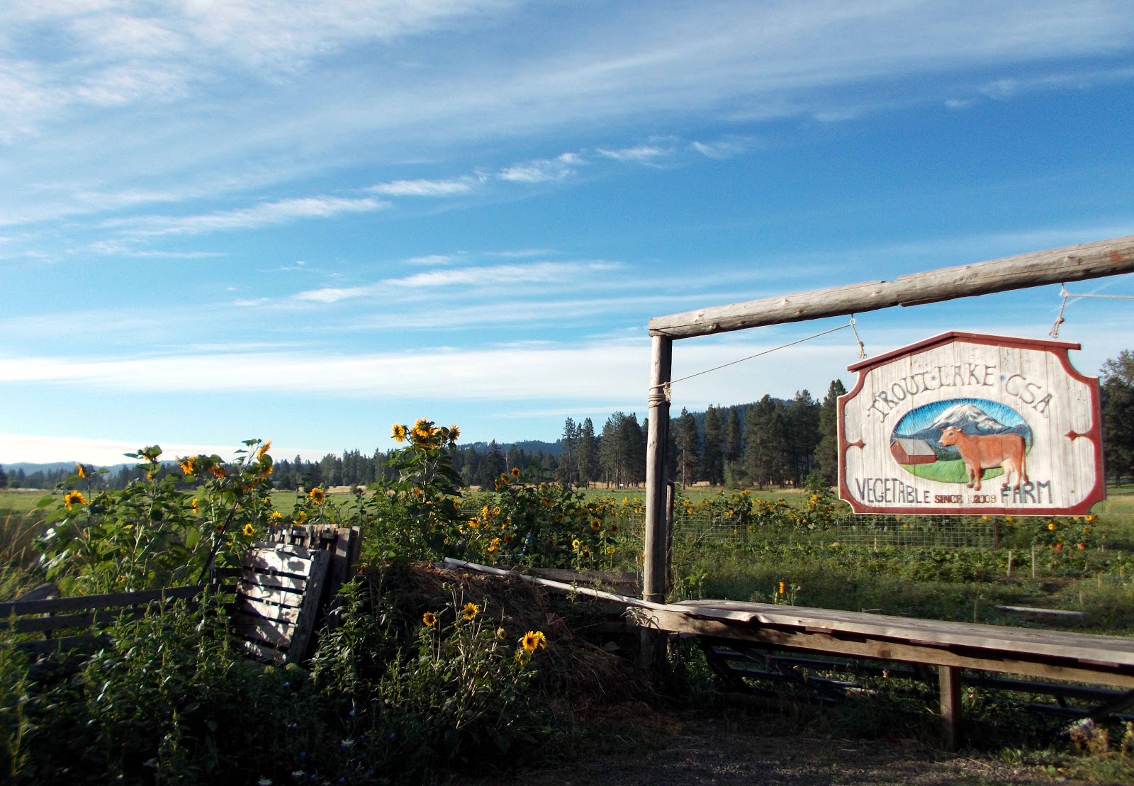 Ingrid on the PCT Washington Section B Trout Lake to White Pass