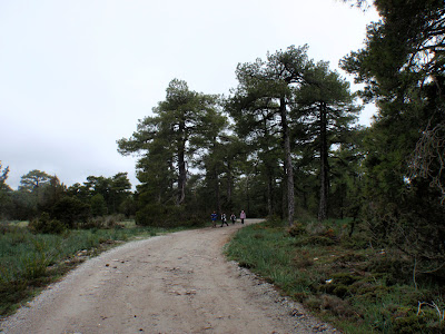 Espeleo Club de Descenso de Cañones (EC/DC): Mirador de Uña-Uña (Uña