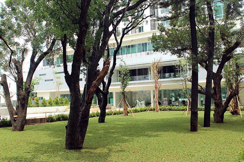 Apa Itu Apartemen? Mengapa Memilih Apartemen? Apa perbedaan antara