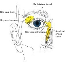 goz kapaginda yag bezesi ve tedavisi