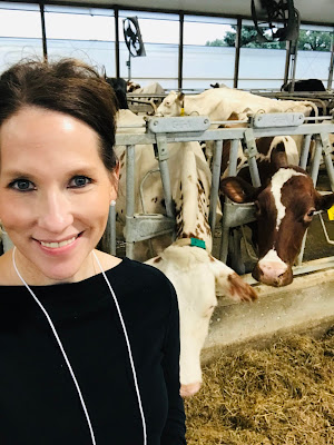 To Dairy or Not to Dairy in a Plant-Based World Weekly Wisdom To Dairy or Not to Dairy in a Plant-Based World Weekly Wisdom