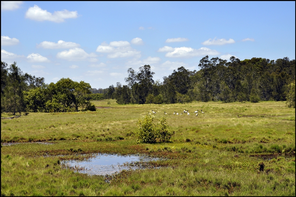 A Warm Slice of Brisbane...: Boondall