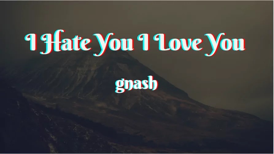 I Hate You I Love You Lyrics In English With Hindi Translation Gnash Olivia O Brien
