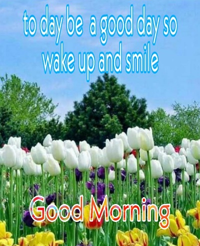 Top 50 Good Morning Quotes to Start the fresh Day Top 50 Good Morning Quotes to Start the fresh Day