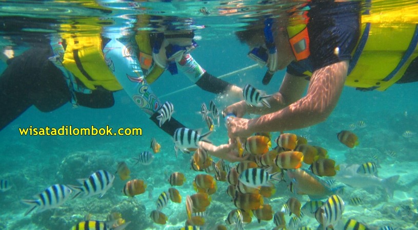 Paket Wisata Gili Trawangan 1 Hari, Paket Tour Gili Trawangan 1 Hari, Trip 1 Hari Gili Trawangan, Tour Sehari Gili Trawangan