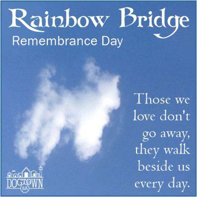 Rainbow Bridge Remembrance Day