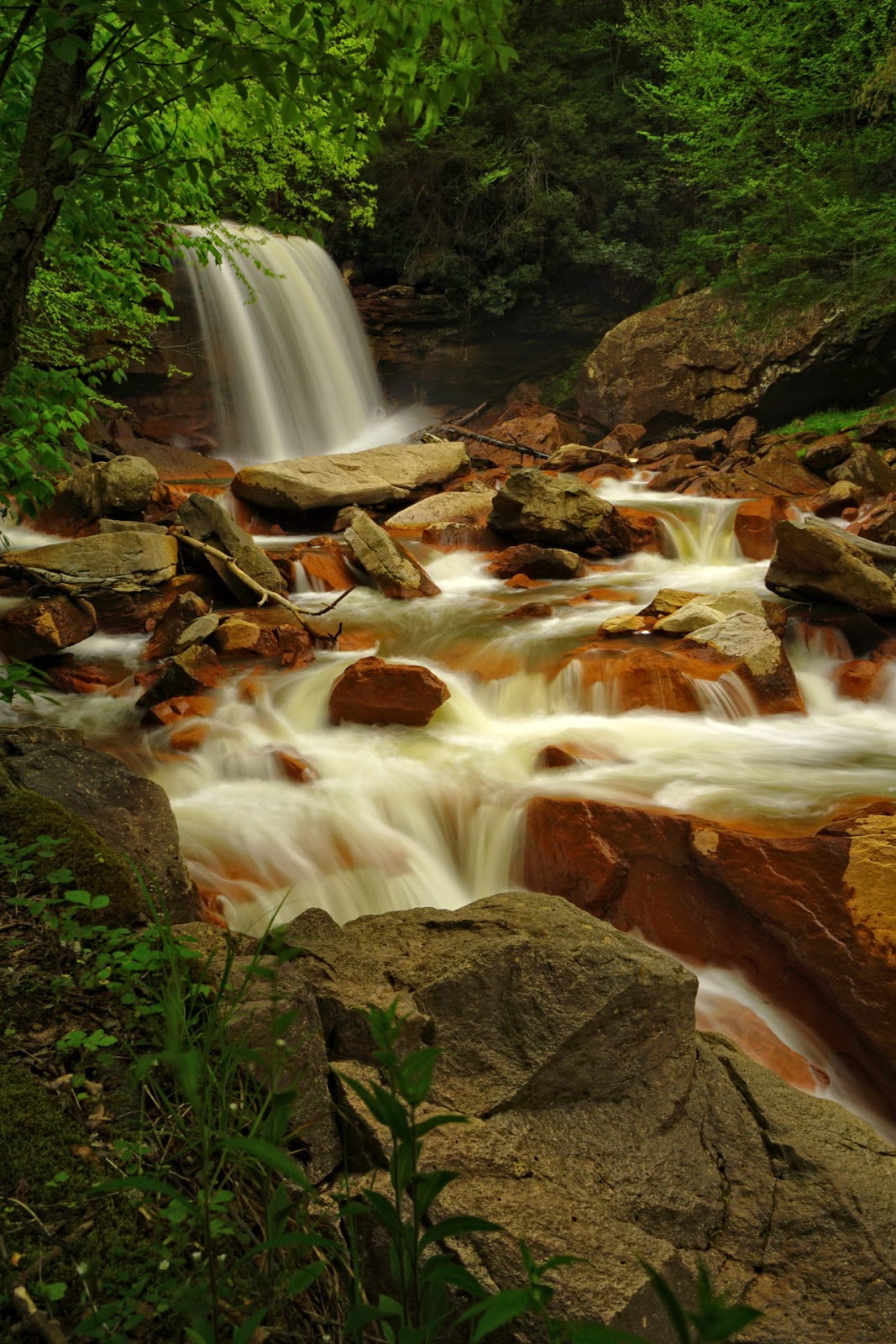 Discover West Virginia Exploring the North Fork of the Blackwater