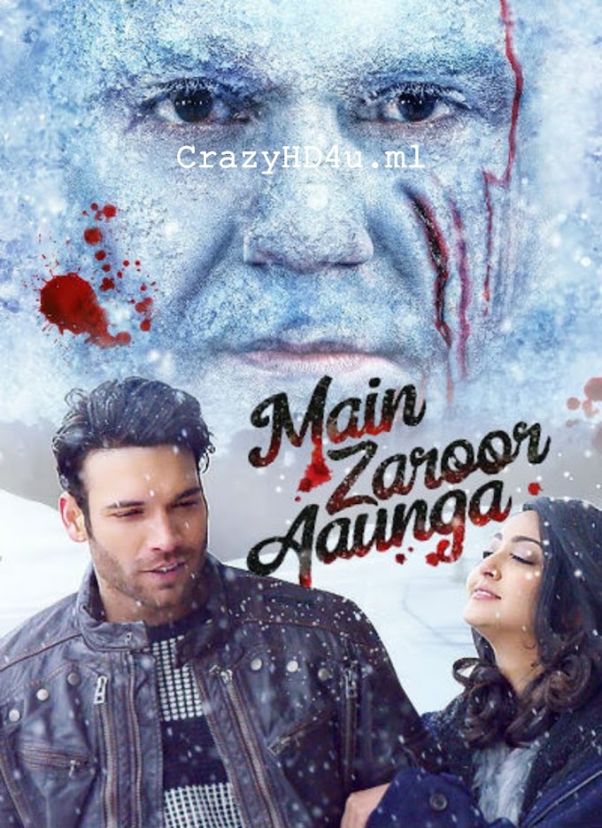 Main Zaroor Aaunga (2019) Hindi 720p HEVC 480p HDRip  GDRIVE