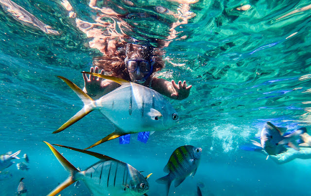 Snorkeling on Cabo Beach