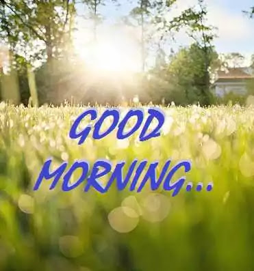 Good Morning Images Good Morning Images
