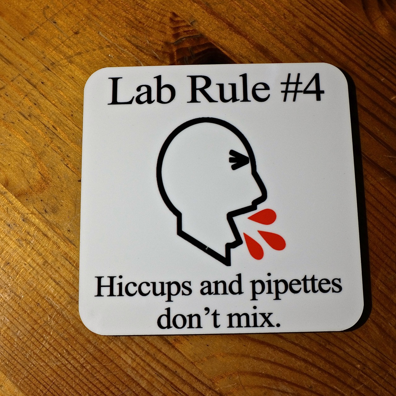 Pictures and Words, a Blog Rules for the Laboratory