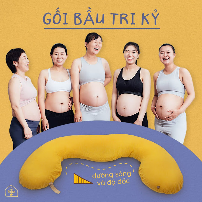 [A159] Gợi ý chọn gối Bầu Đậu Khuyết hỗ trợ tối đa trong thai kỳ