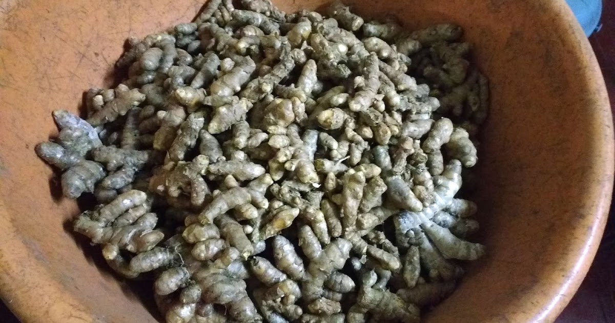 More Precious Than Gold !