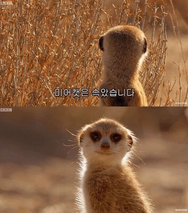 타그룹과 분위기가 다른 혼성그룹의 팬싸인회 | 인스티즈