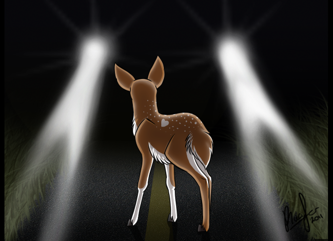 Deer In Headlights.