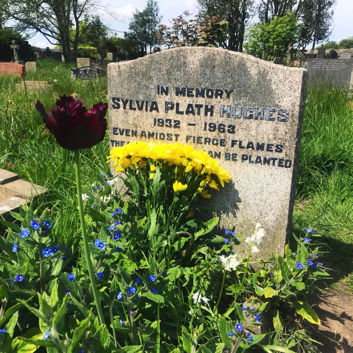 Sylvia Plath's Grave