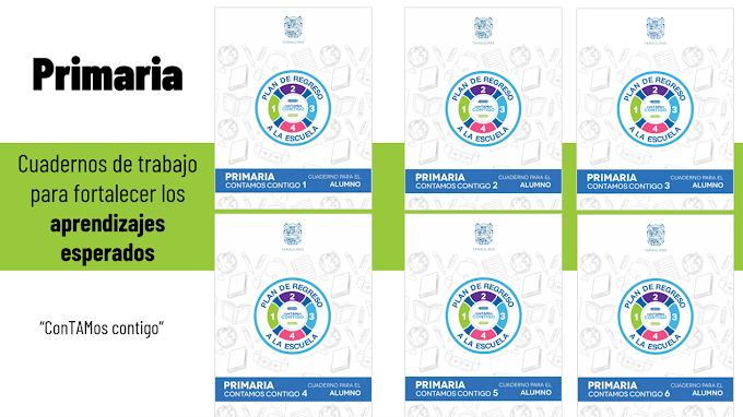Cuadernos de actividades para fortalecer los aprendizajes esperados fundamentales en primaria