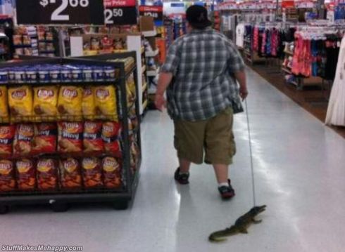 funny pics from Walmart, funny pics at Walmart, funniest Walmart pics, fat people at Walmart images