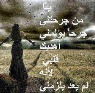 49973hlmjo