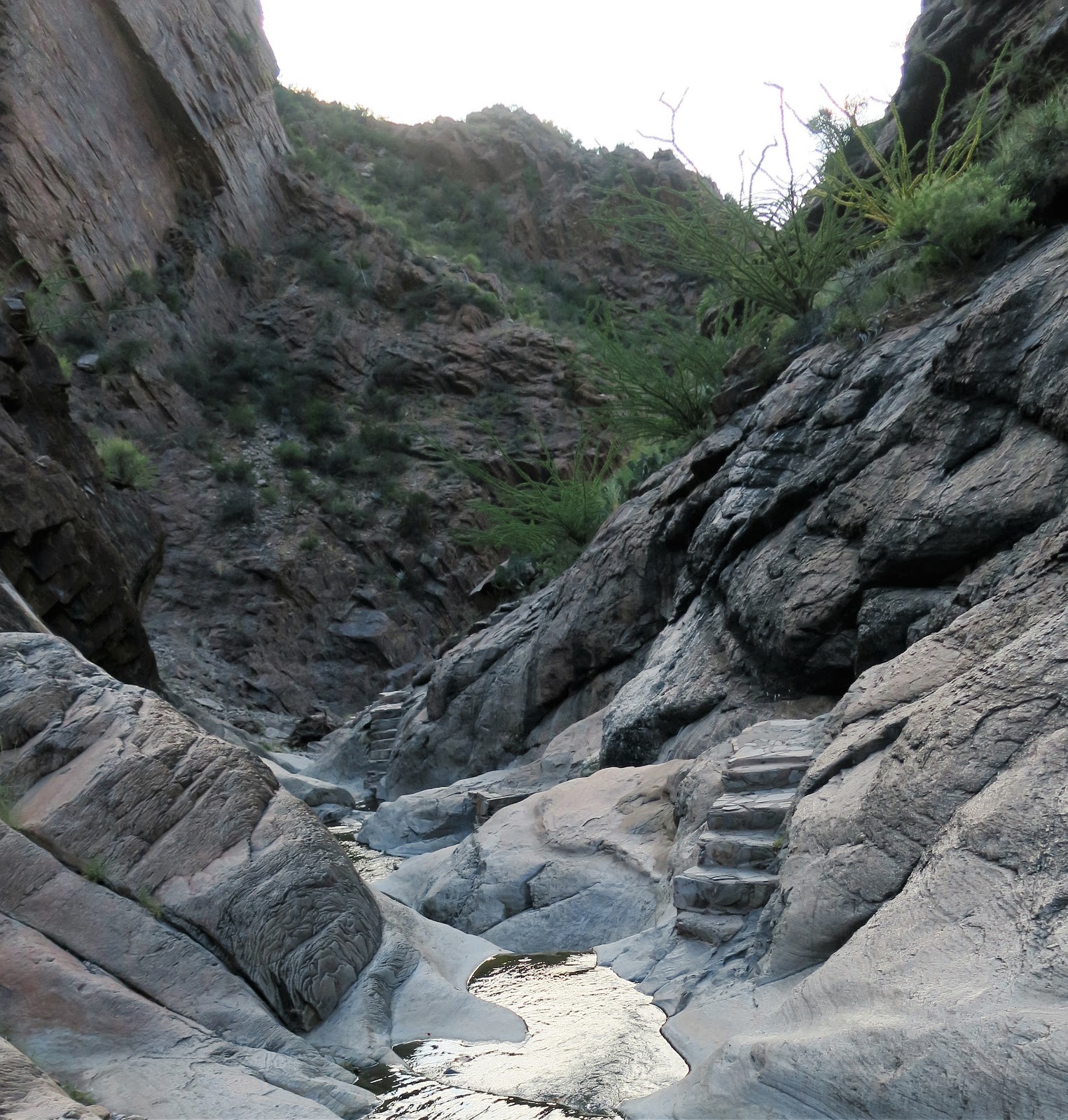 Living Rootless Big Bend National Park Window Trail