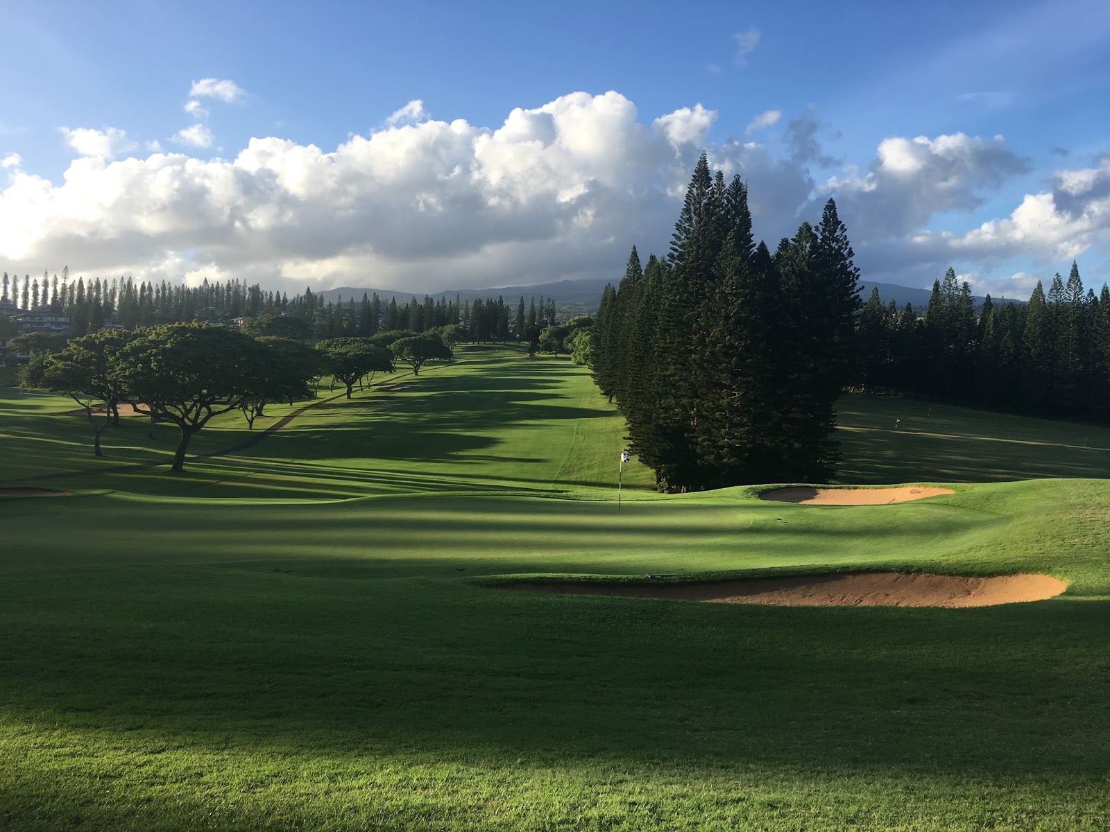 GREAT EATS HAWAII PINEAPPLE GRILL MAUI