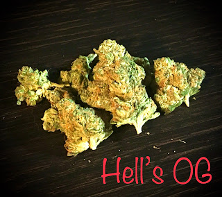 pennsylvania medical marijuana,terrapin,hell's og,hells og,flower,pa medical marijuana