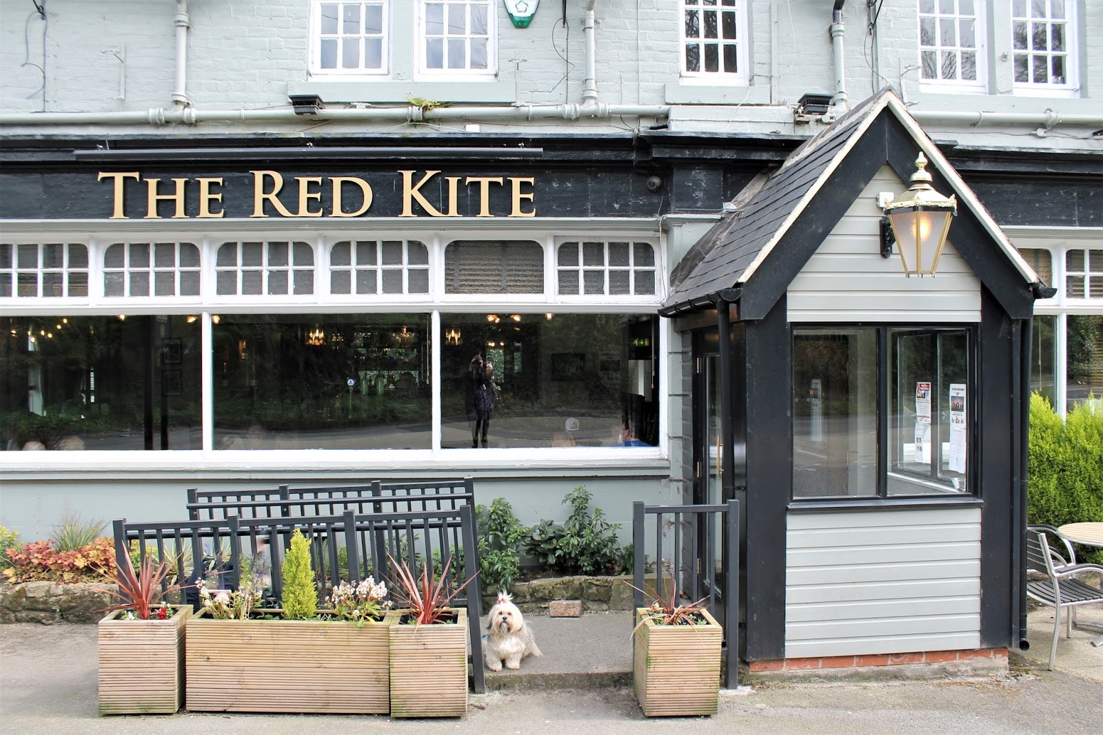 The Red Kite at Winlaton Mill BlaydononTyne Paws across Britain