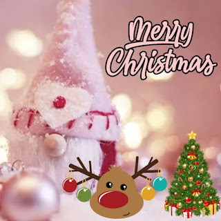 merry christmas images photo pictures  free download