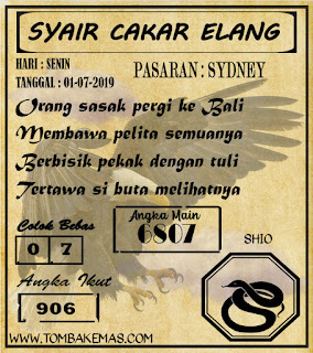 SYAIR SYDNEY 01-07-2019