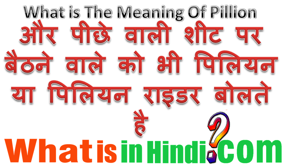 Pillion का मतलब क्या होता है What is the meaning of Pillion in Hindi