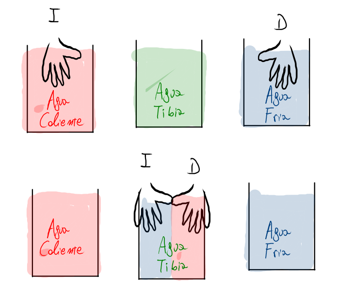 perception thermique, expérience des trois seaux