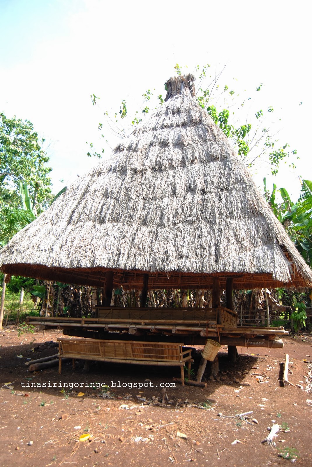940 Gambar Rumah Adat Alor Gratis Terbaru Gambar Rumah