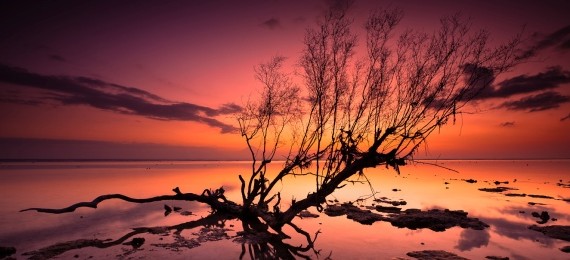 Mengenal Antara Surga dan Neraka | Dakwah Syariah