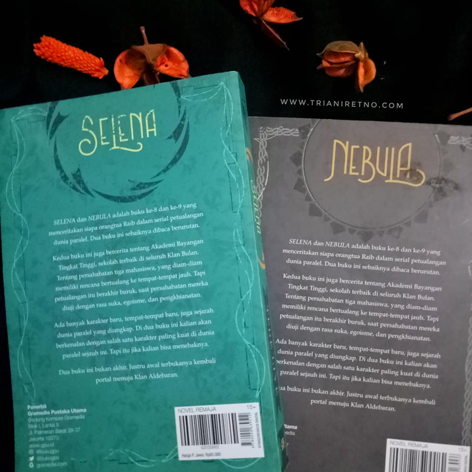 Resensi Novel Tere Liye Selena Dan Nebula Teras Teera Lifestyle Blogger