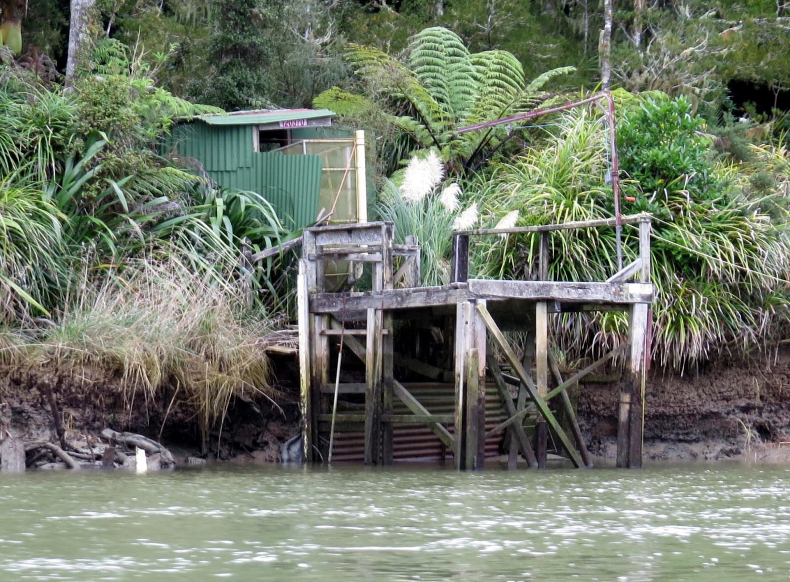 ideas of inspiration Whitebait Stands