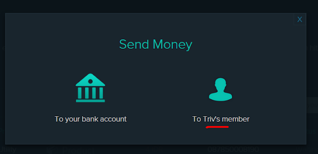 Cara Mengirim Uang dengan Triv