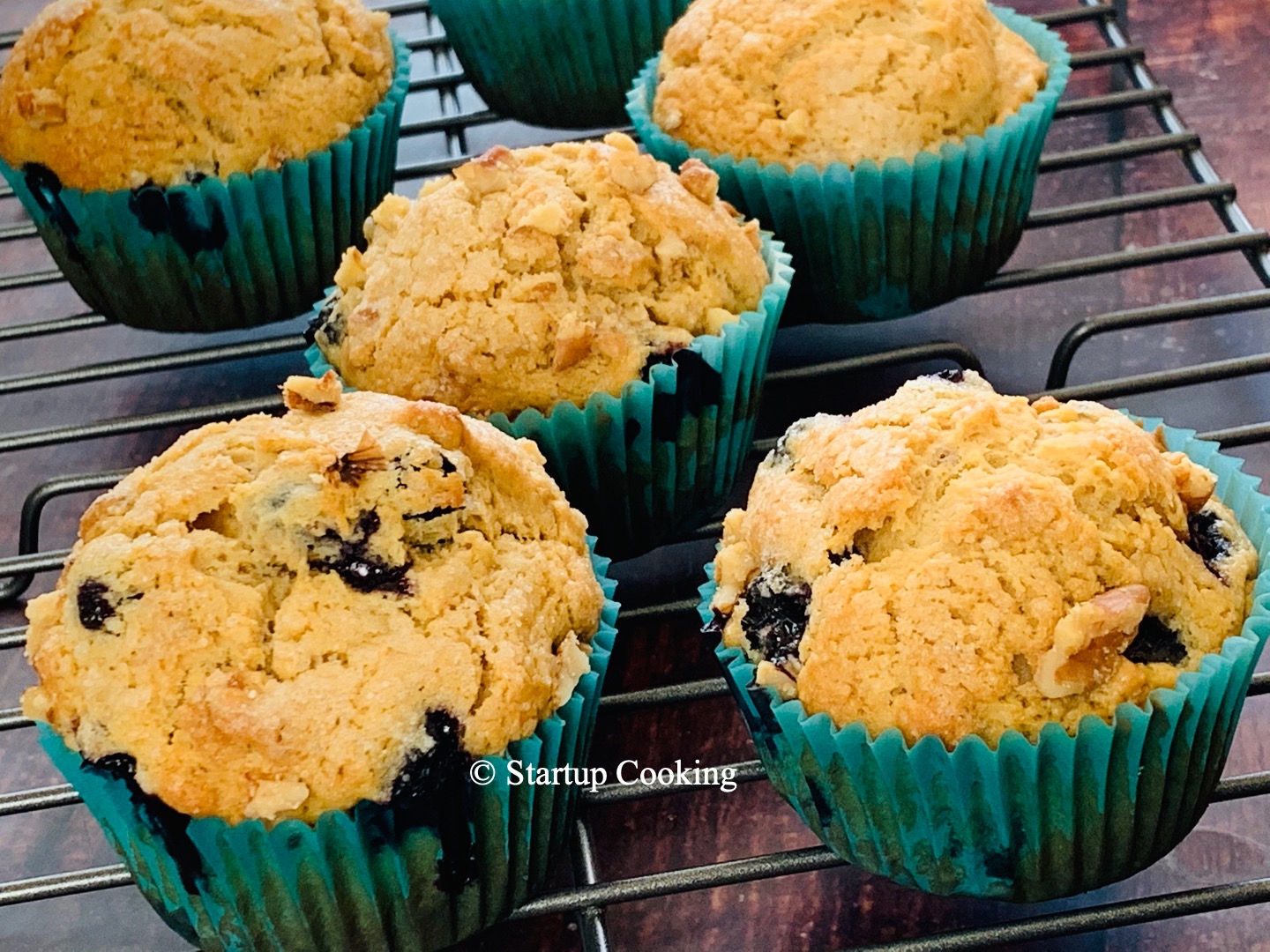 Blueberry Walnut Muffin Blueberry Nut Muffin Recipe Startup Cooking