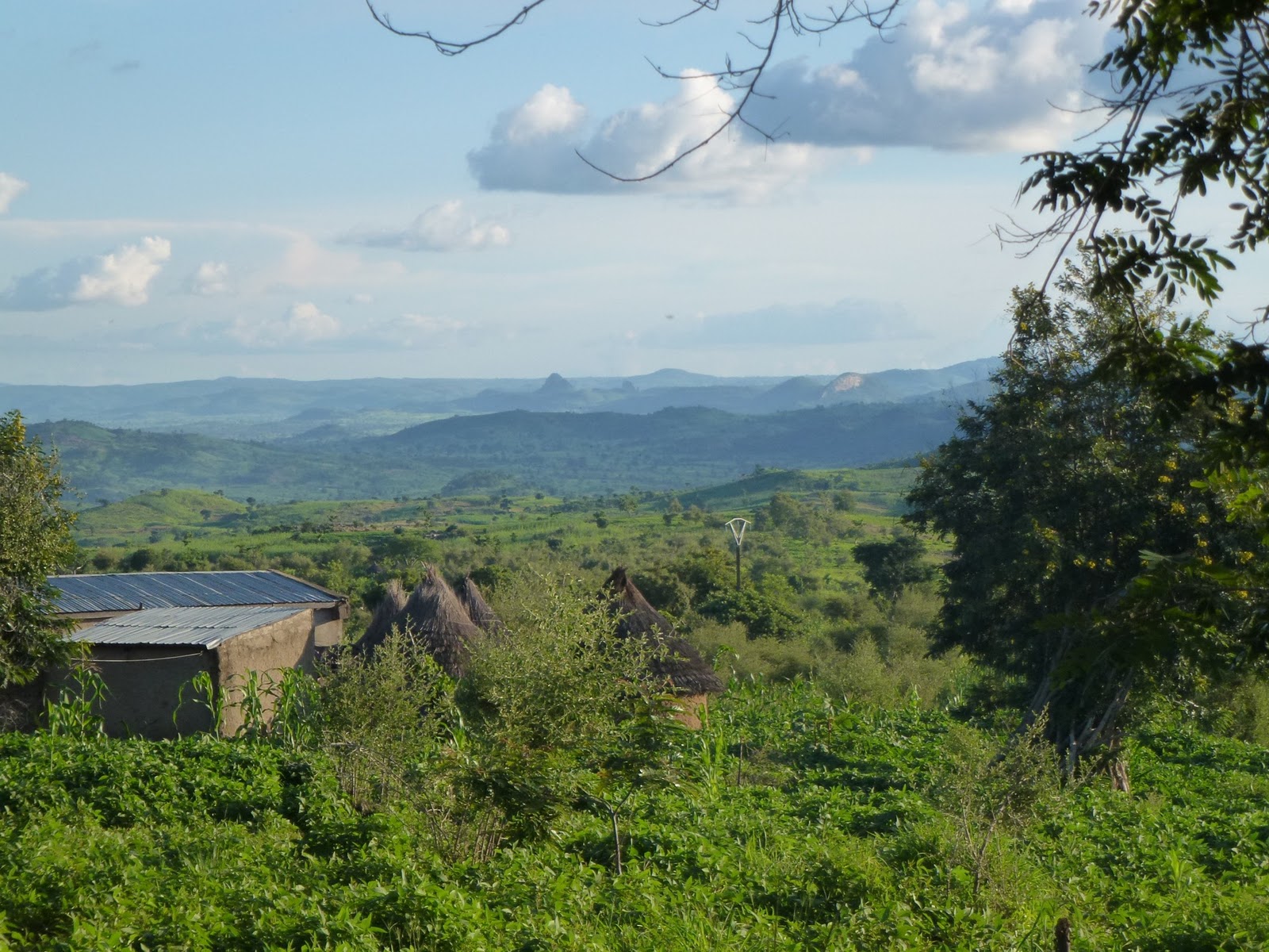 Mission Afrika ein Jahr in Kamerun Mokolo > Heimfahrt