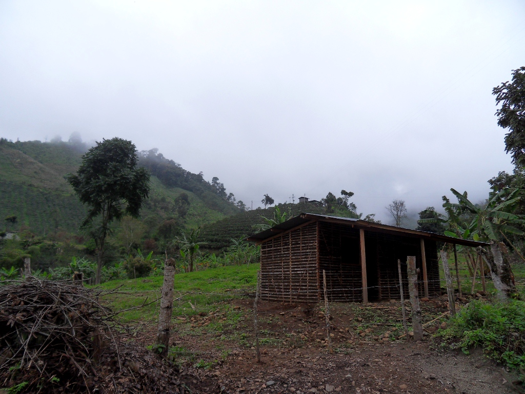 Noticias, Arte, Cultura y Turismo Zuluaga Huila
