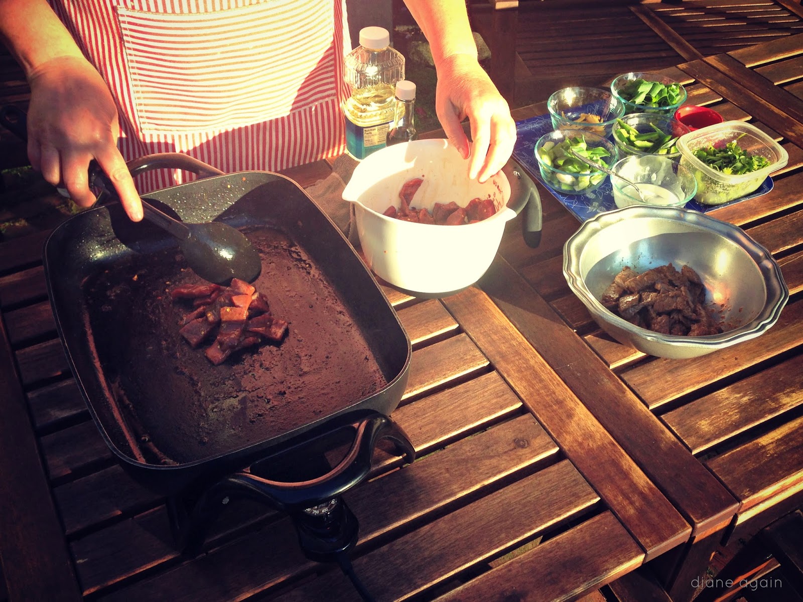 Diane Again My Homemade Beef Stir Fry