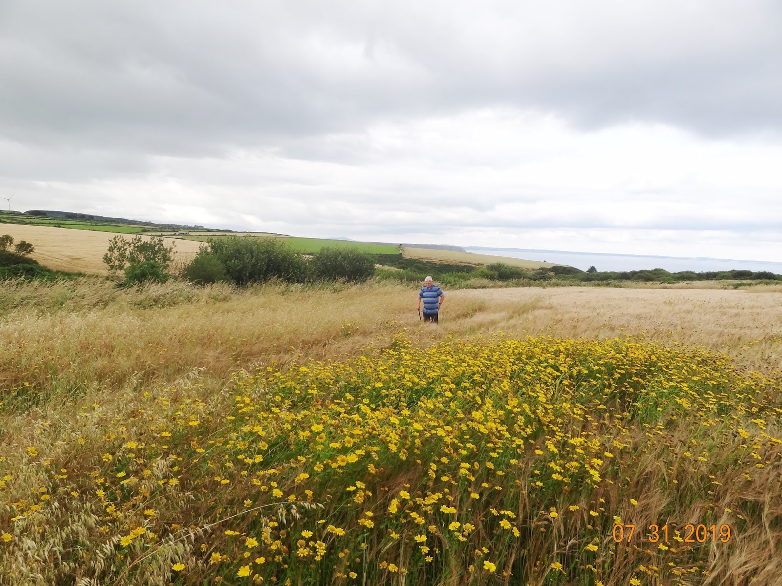 Waterford County Museum Court Cairn at Ballinamona Lower, Old Parish