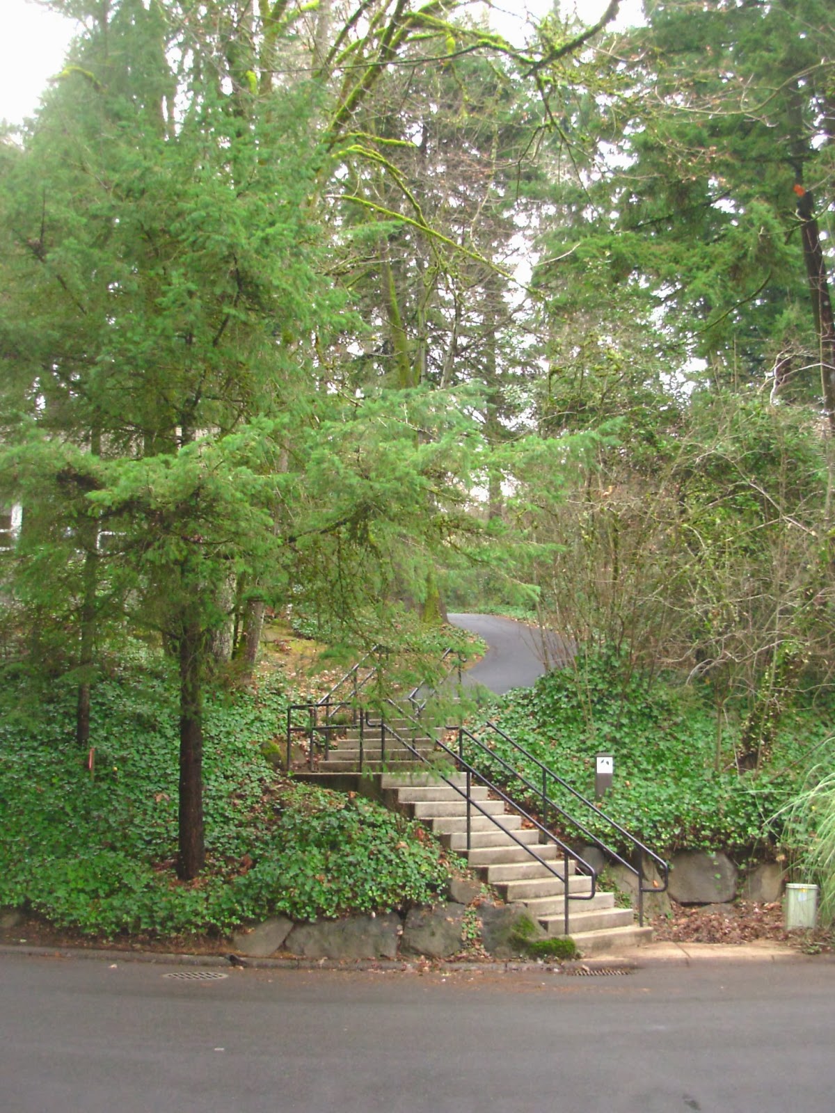 Walks and Hikes in Portland and Beyond Lake Oswego Up to Mt