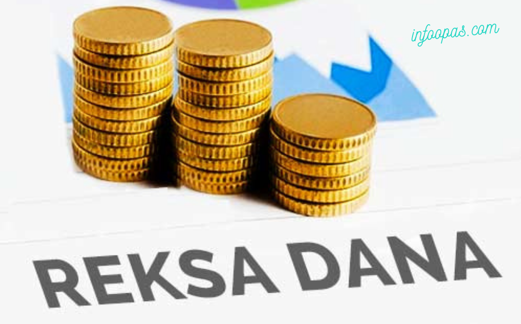 Terbaru! Pilih Salah Satu Dari 4 Jenis Reksadana Untuk Investor Pemula