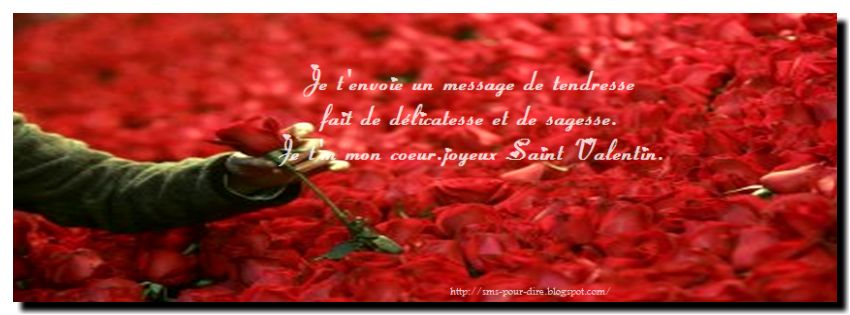 Poeme Amour Poesie Et Citations 21 Modele Sms Pour Saint Valentin 13 St Valentin