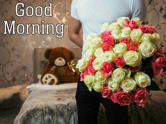 Good Morning flowers Image hd download and share with your friends and family members on facebook and whatsapp for wish very good morning