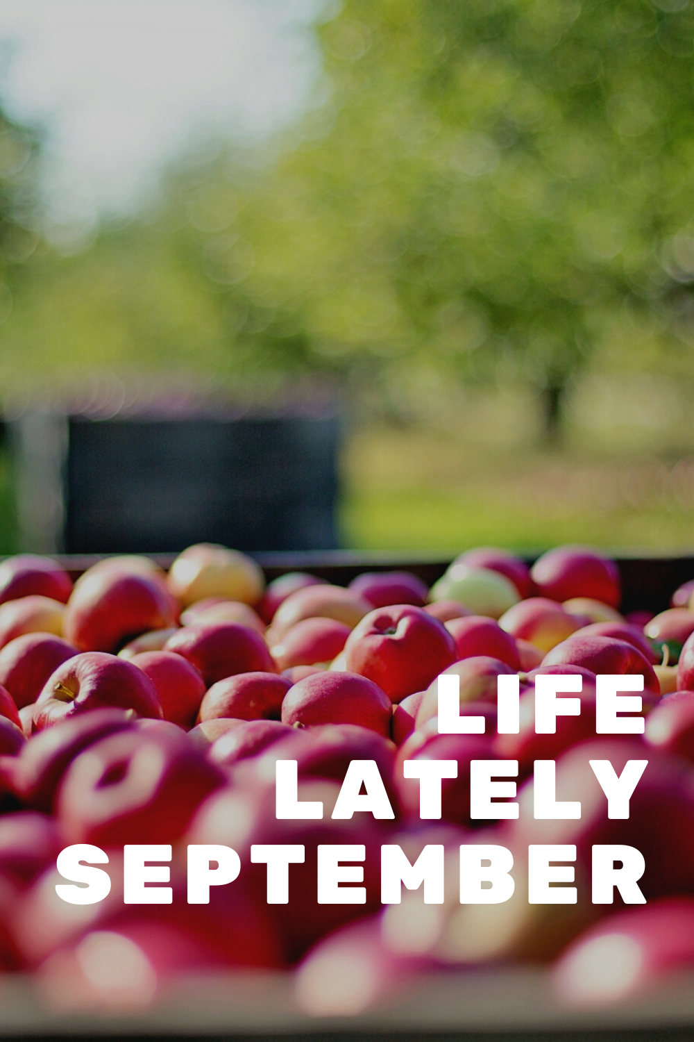 Life Lately | September