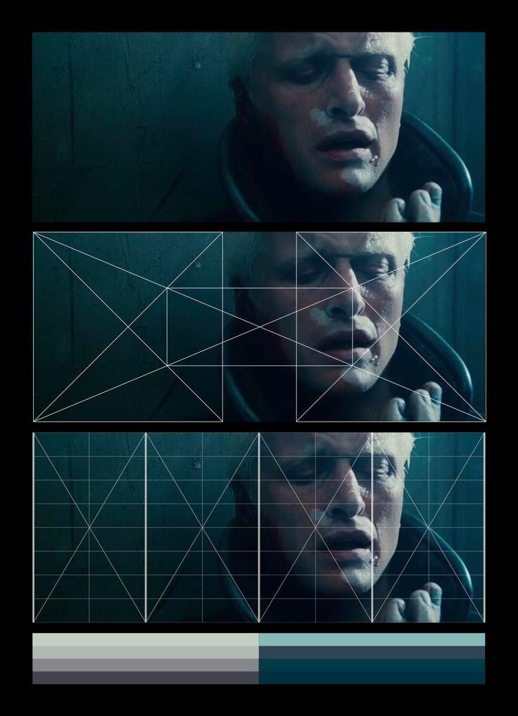 David caute alan ryan essay image