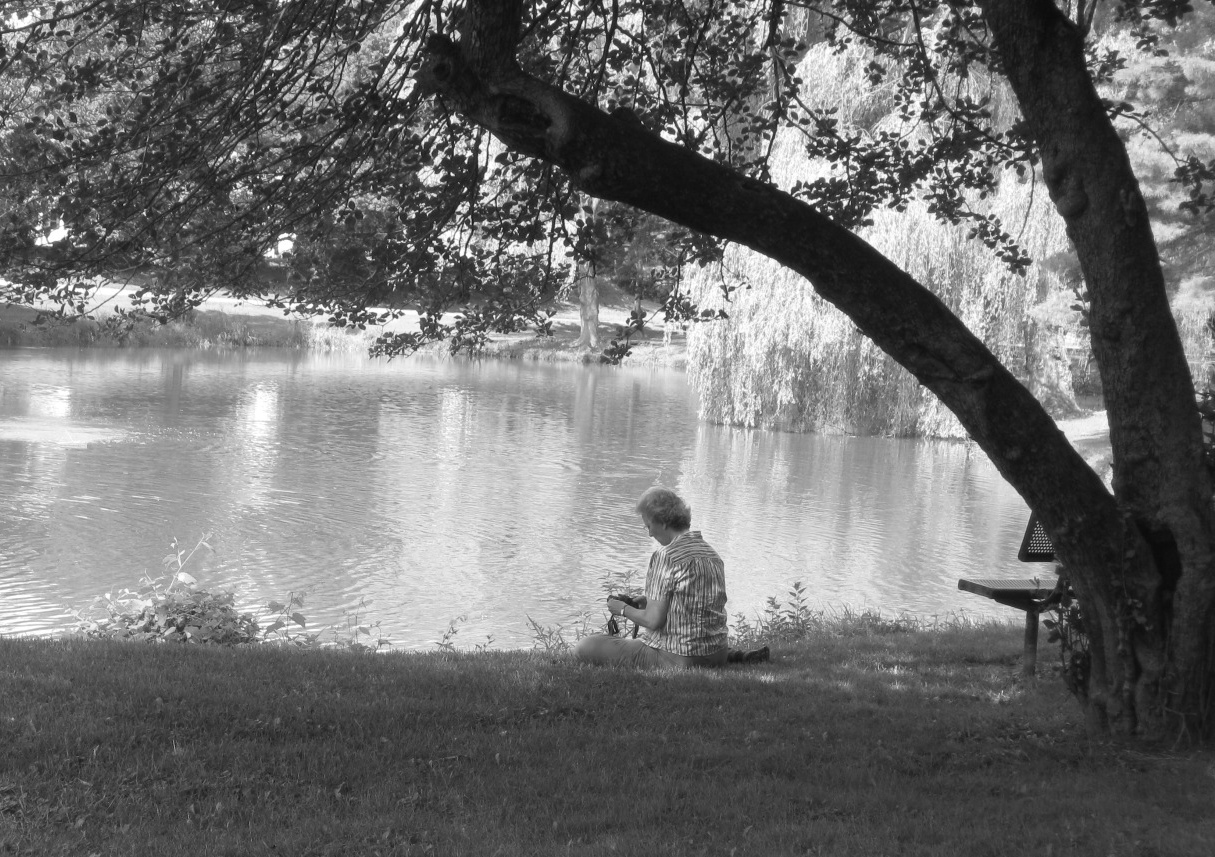 Corning NY Step by Step Photography group at Denison Park
