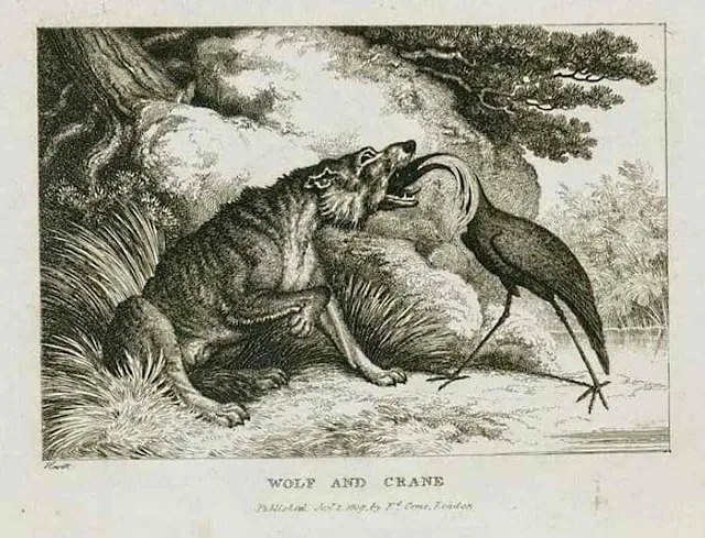 Vom Wolf und dem Kranich - Dank 1 Vom Wolf und dem Kranich 04 2021