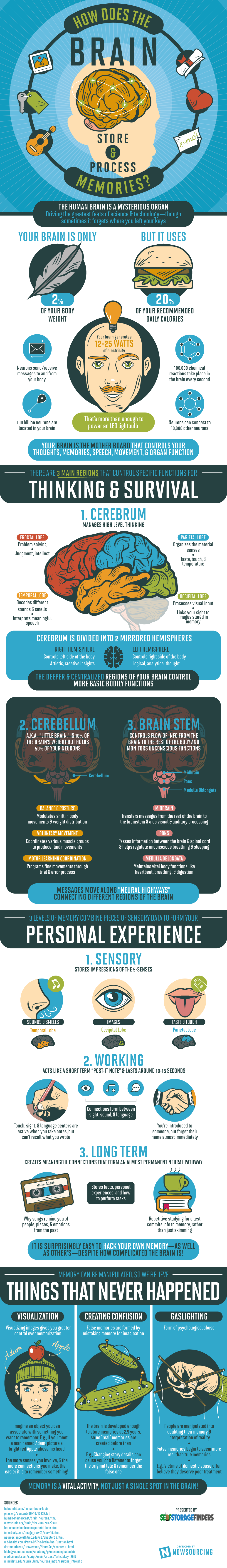 How Your Brain Stores and Processes Memories - #infographic